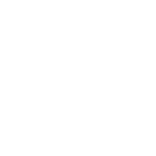 Security Features Icon